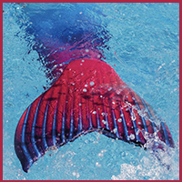 Wie kann ich beim Spaßtreff mitmachen?